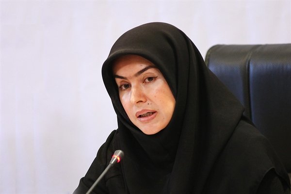 وزیر میراث فرهنگی به شدت پیگیر تامین اعتبار جبران خسارت سیل است