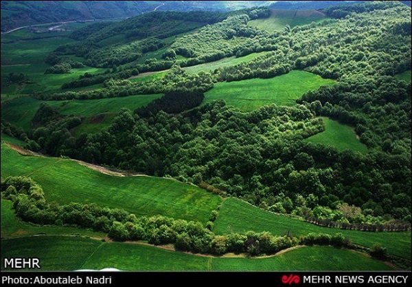 ۱۵ پهنه از جنگل‌های هیرکانی ثبت جهانی می‌شود