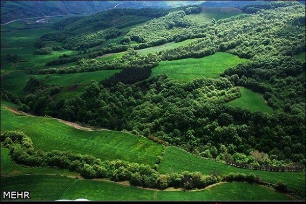 ثبت جهانی نویدبخش پایان بی‌مهری‌ به جنگل‌های هیرکانی