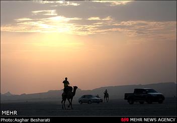 یک جهانگرد هرمزگانی با شتر به دور دنیا می رود